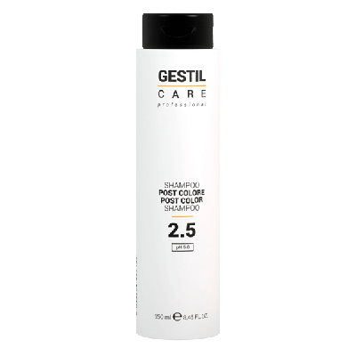 Gestil 2.5 Post Color Shampoo: 250 мл
